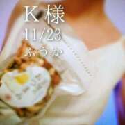 ヒメ日記 2025/11/24 10:30 投稿 ふうか あとりえ(ATELIER)