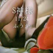 ヒメ日記 2025/11/25 07:30 投稿 ふうか あとりえ(ATELIER)