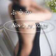 ヒメ日記 2025/11/29 22:43 投稿 ふうか あとりえ(ATELIER)