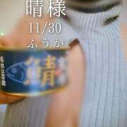 ヒメ日記 2025/12/01 07:30 投稿 ふうか あとりえ(ATELIER)