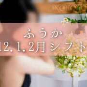 ヒメ日記 2025/12/01 12:15 投稿 ふうか あとりえ(ATELIER)