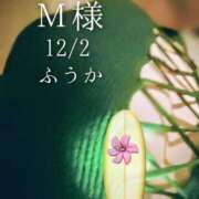 ヒメ日記 2025/12/03 07:30 投稿 ふうか あとりえ(ATELIER)