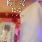 ヒメ日記 2025/12/03 08:01 投稿 ふうか あとりえ(ATELIER)