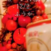 ヒメ日記 2025/12/03 08:30 投稿 ふうか あとりえ(ATELIER)
