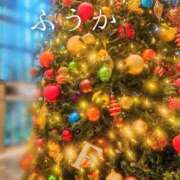 ヒメ日記 2025/12/07 11:30 投稿 ふうか あとりえ(ATELIER)