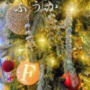 ヒメ日記 2025/12/10 11:31 投稿 ふうか あとりえ(ATELIER)