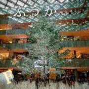 ヒメ日記 2025/12/11 11:30 投稿 ふうか あとりえ(ATELIER)