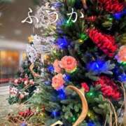 ヒメ日記 2025/12/13 11:31 投稿 ふうか あとりえ(ATELIER)