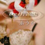 ヒメ日記 2025/12/14 10:03 投稿 ふうか あとりえ(ATELIER)