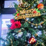 ヒメ日記 2025/12/14 11:35 投稿 ふうか あとりえ(ATELIER)