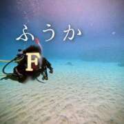 ヒメ日記 2025/12/19 11:30 投稿 ふうか あとりえ(ATELIER)