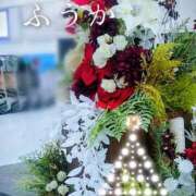 ヒメ日記 2025/12/20 11:30 投稿 ふうか あとりえ(ATELIER)