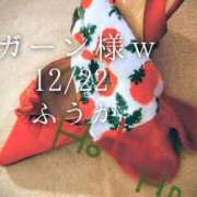 ヒメ日記 2025/12/23 18:01 投稿 ふうか あとりえ(ATELIER)