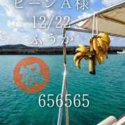 ヒメ日記 2025/12/23 21:01 投稿 ふうか あとりえ(ATELIER)