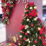 ヒメ日記 2025/12/25 11:30 投稿 ふうか あとりえ(ATELIER)