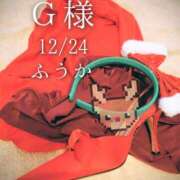 ヒメ日記 2025/12/26 08:30 投稿 ふうか あとりえ(ATELIER)