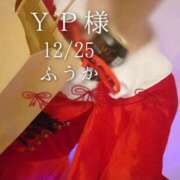 ヒメ日記 2025/12/26 12:04 投稿 ふうか あとりえ(ATELIER)