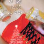 ヒメ日記 2025/12/26 12:31 投稿 ふうか あとりえ(ATELIER)