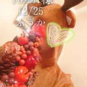 ヒメ日記 2025/12/26 15:15 投稿 ふうか あとりえ(ATELIER)