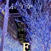 ヒメ日記 2025/12/27 11:30 投稿 ふうか あとりえ(ATELIER)