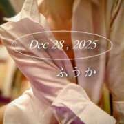 ヒメ日記 2025/12/29 14:45 投稿 ふうか あとりえ(ATELIER)