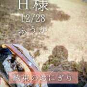 ヒメ日記 2025/12/29 15:45 投稿 ふうか あとりえ(ATELIER)
