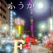 ヒメ日記 2025/12/30 11:30 投稿 ふうか あとりえ(ATELIER)