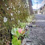 ヒメ日記 2026/01/03 11:30 投稿 ふうか あとりえ(ATELIER)