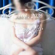 ヒメ日記 2026/01/04 17:01 投稿 ふうか あとりえ(ATELIER)