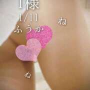 ヒメ日記 2026/01/12 08:01 投稿 ふうか あとりえ(ATELIER)