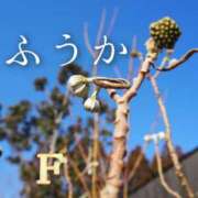 ヒメ日記 2026/01/16 09:19 投稿 ふうか あとりえ(ATELIER)