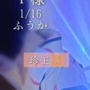 ヒメ日記 2026/01/17 09:02 投稿 ふうか あとりえ(ATELIER)