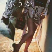 ヒメ日記 2026/01/17 11:30 投稿 ふうか あとりえ(ATELIER)