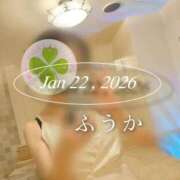 ヒメ日記 2026/01/25 07:30 投稿 ふうか あとりえ(ATELIER)