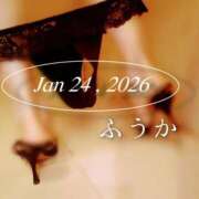 ヒメ日記 2026/01/25 10:30 投稿 ふうか あとりえ(ATELIER)