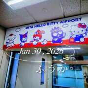 ヒメ日記 2026/01/31 07:30 投稿 ふうか あとりえ(ATELIER)