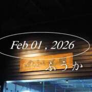 ヒメ日記 2026/02/02 07:30 投稿 ふうか あとりえ(ATELIER)