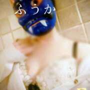 ヒメ日記 2026/02/02 11:30 投稿 ふうか あとりえ(ATELIER)