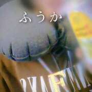 ヒメ日記 2026/02/07 11:30 投稿 ふうか あとりえ(ATELIER)