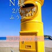 ヒメ日記 2026/02/10 07:01 投稿 ふうか あとりえ(ATELIER)