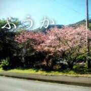 ヒメ日記 2026/02/10 11:30 投稿 ふうか あとりえ(ATELIER)