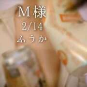 ヒメ日記 2026/02/15 07:31 投稿 ふうか あとりえ(ATELIER)