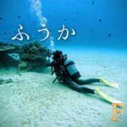 ヒメ日記 2026/02/15 11:47 投稿 ふうか あとりえ(ATELIER)