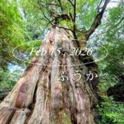 ヒメ日記 2026/02/17 07:31 投稿 ふうか あとりえ(ATELIER)