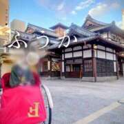 ヒメ日記 2026/02/19 20:02 投稿 ふうか あとりえ(ATELIER)