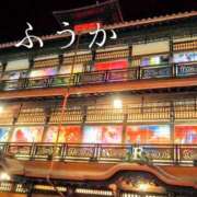 ヒメ日記 2026/02/20 11:30 投稿 ふうか あとりえ(ATELIER)