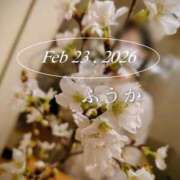 ヒメ日記 2026/02/25 07:00 投稿 ふうか あとりえ(ATELIER)