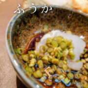 ヒメ日記 2026/02/27 11:47 投稿 ふうか あとりえ(ATELIER)