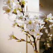 ヒメ日記 2026/02/28 07:01 投稿 ふうか あとりえ(ATELIER)