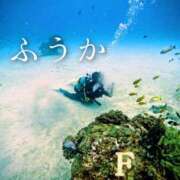 ヒメ日記 2026/02/28 11:30 投稿 ふうか あとりえ(ATELIER)